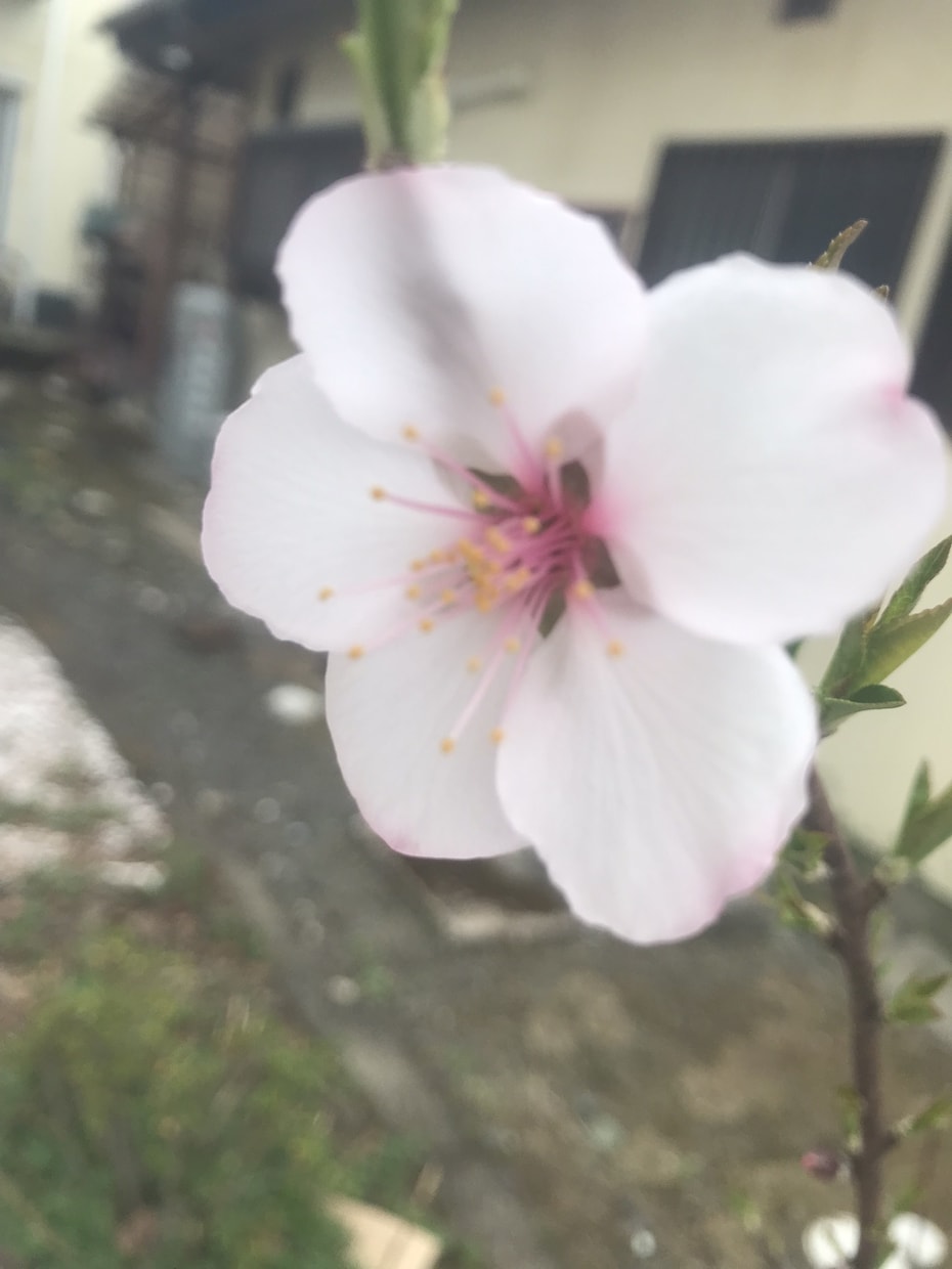色々なお話しお聞きします 気分が沈んでたり、元気になりたい時は人と話すのが一番！ イメージ4