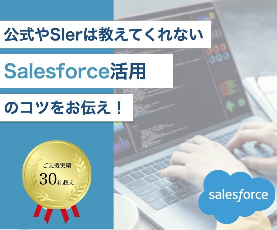 Salesforceに関するお悩み全て解決します 【公式やSIerでは教えてくれない成果の出る活用法をお伝え】 イメージ1