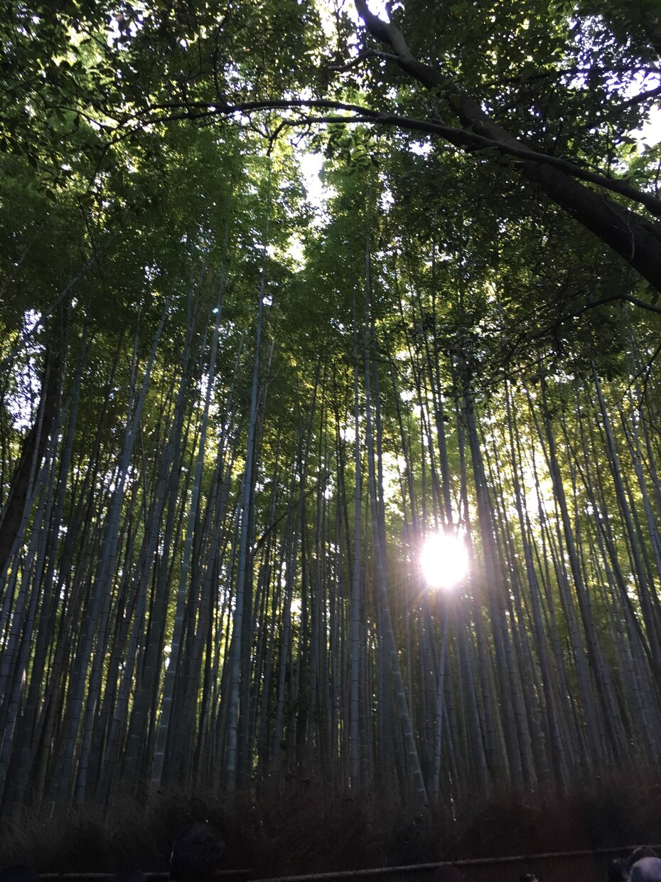 とりあえず話してみませんか？チカラになります 誰にも言えない悩みがある、あと一押ししてほしいあなたへ イメージ2