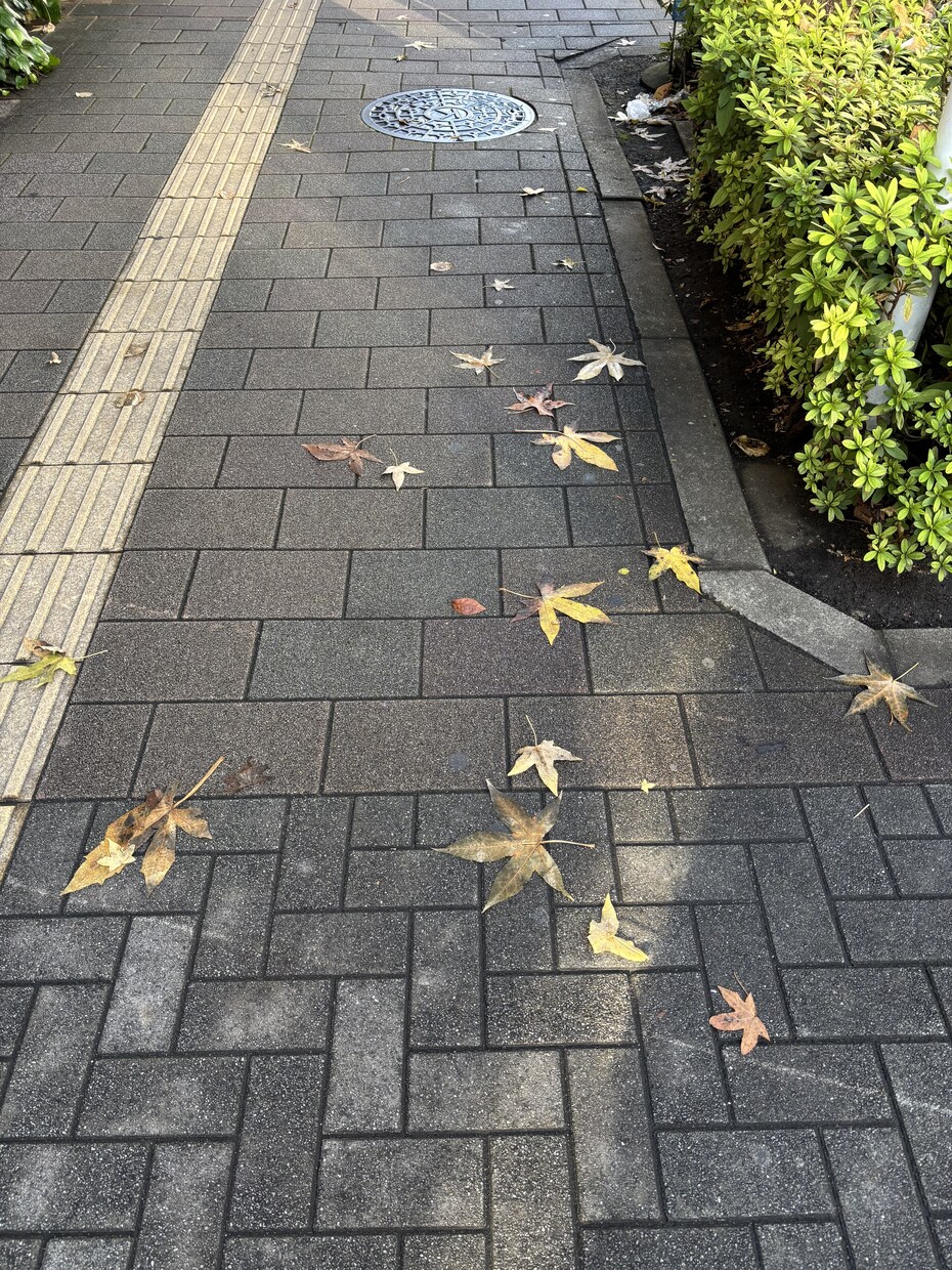 傾聴しますしアドバイスも出来ます 相談内容について出来るだけ詳しく情報を入れてください。 イメージ1