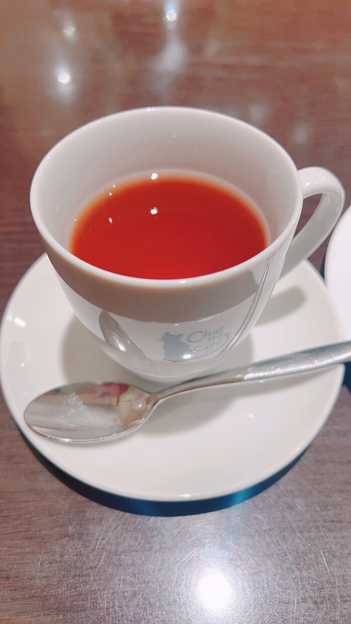 モヤモヤ、寂しさ、不安、愚痴お聞きします ただ聞いてほしい、雑談がしたい。なんでもない話しがしたい方 イメージ6