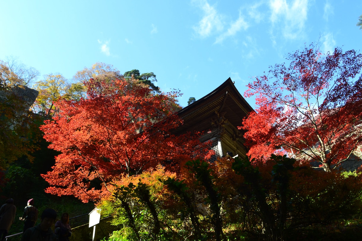 プロモーション動画制作行います 素敵な思い出を動画に残しませんか？プレゼント等にも是非！ イメージ1