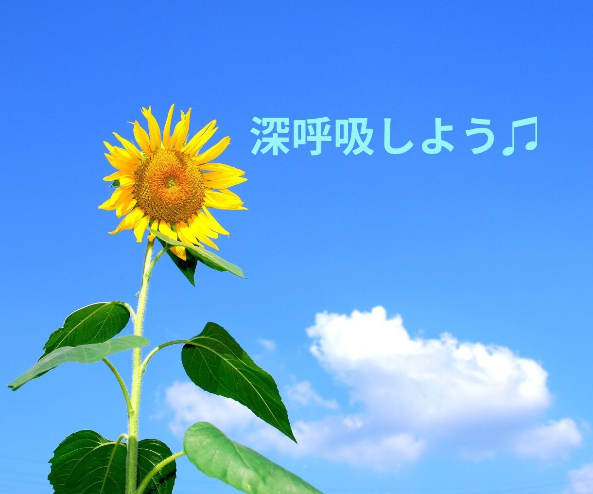 今すぐ話したい！聴いてほしい！をお聴きします 5分でも大歓迎ꕤ︎︎  あなたの心の声を言葉にしませんか？ イメージ9