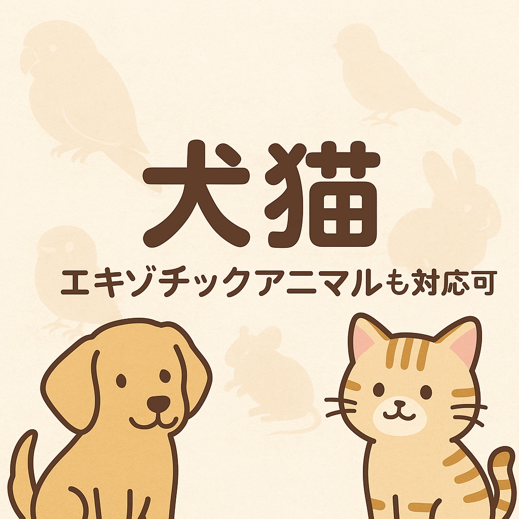 セカンドオピニオンの前の情報整理を一緒にします 獣医師が第三者視点で意見・情報提供します イメージ7