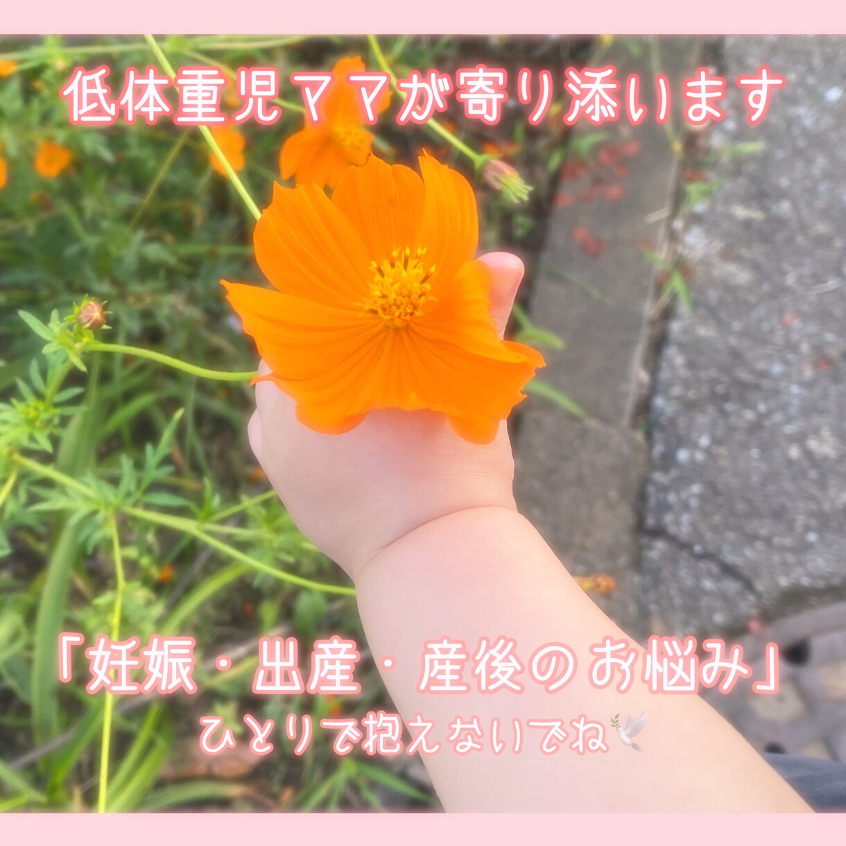低体重児ママがお悩み・不安に優しく寄り添います 【低体重・早産】保育士ママと少しでも安心してお話しませんか？ イメージ1