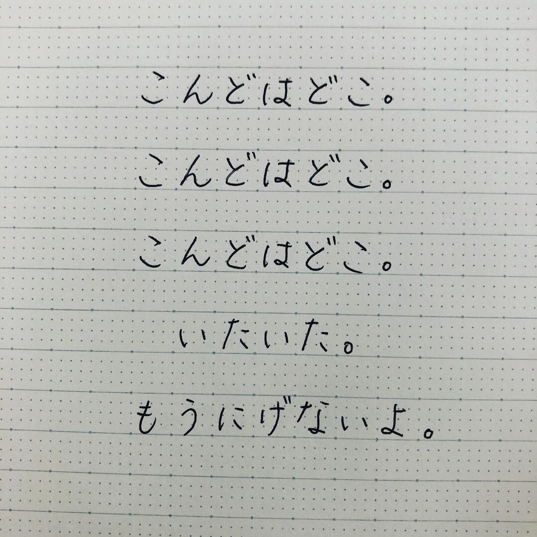 履歴書書くのを手伝います 書くのが苦手という方に何を書いていいかわからない方に イメージ2