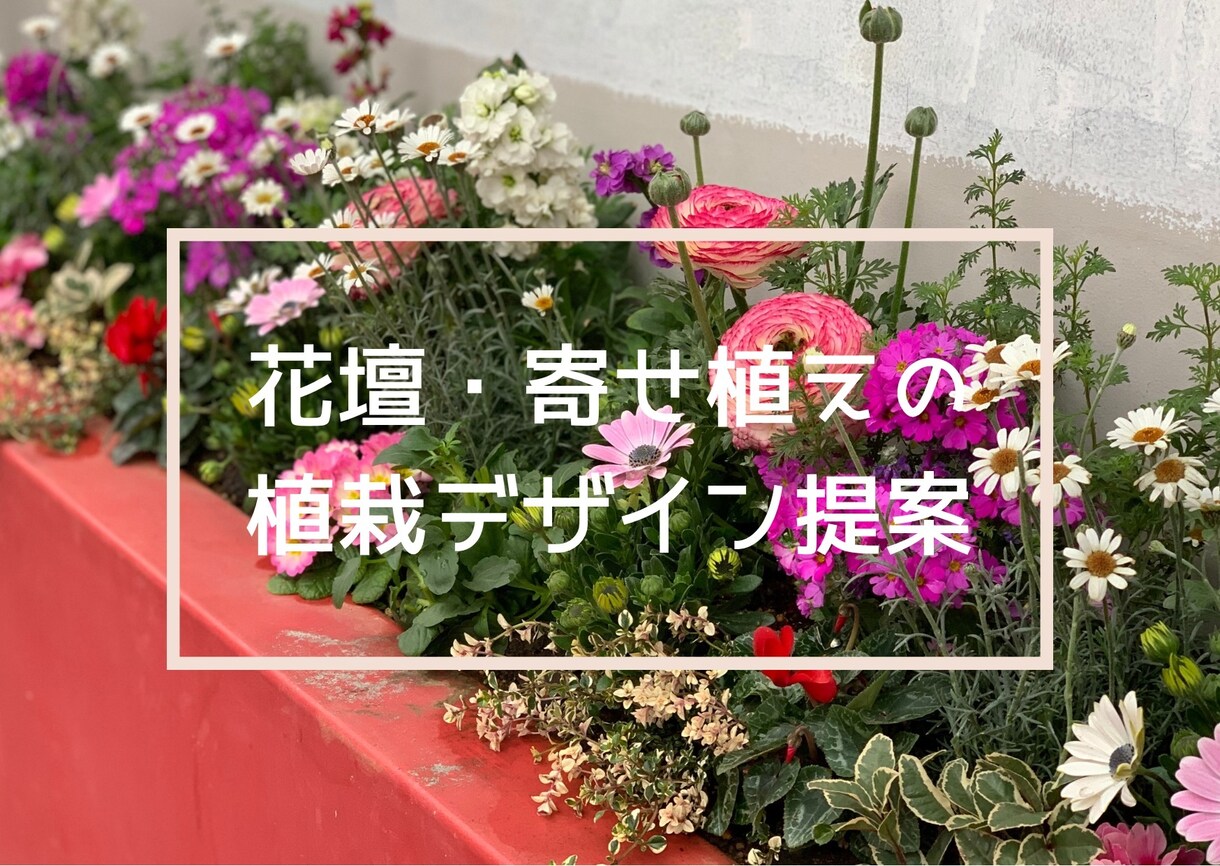 花壇・寄せ植えの植栽デザイン提案します 写真を基に､完成イメージ付きで分かりやすく提案 イメージ1