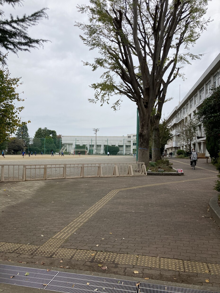 現役医学生が受験勉強を教えます 全科目対応可能です、教える時間帯は要相談です！ イメージ1