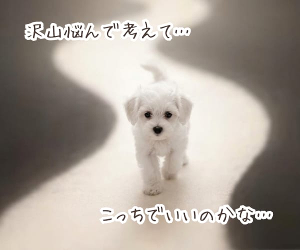 積み重ねてきた想い、丁寧に言語化します 【心理相談室】共感だけでは終わらない《核心》に触れる対話 イメージ2