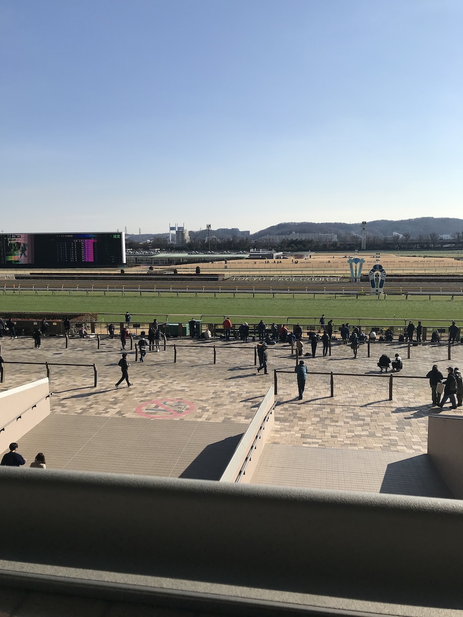 土日の競馬のお話、重賞から平場までなんでも聞きます 今週の的中報告や来週の予想など、言いたいことがあればぜひ！ イメージ1
