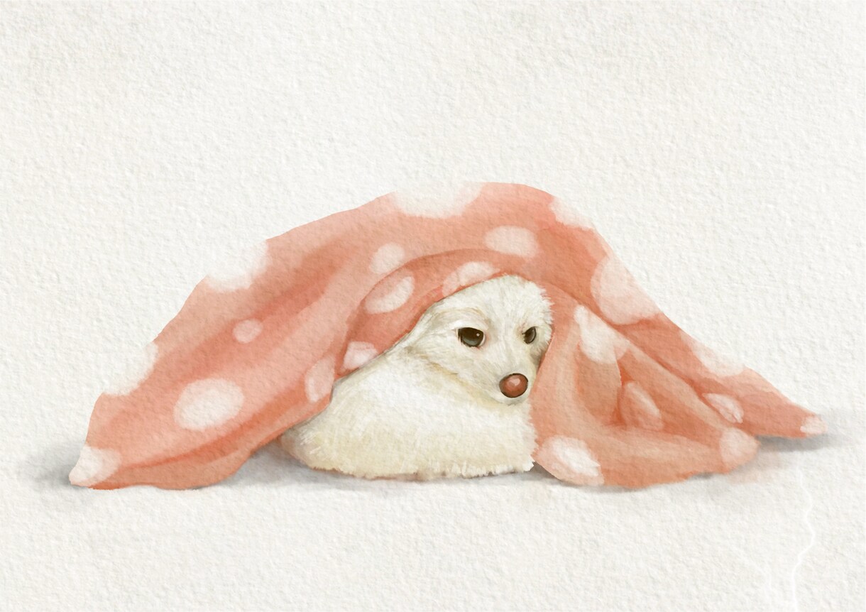 うちの子｜デジタル手描き似顔絵｜ペット肖像画｜ます 犬・猫・虹の橋の子、どんな子でも大歓迎です！ イメージ4