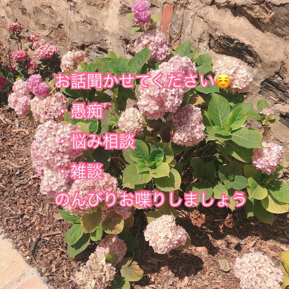 なんでもお話聞かせていただきます 何となくさみしい、誰かと話したい方へ！ イメージ1