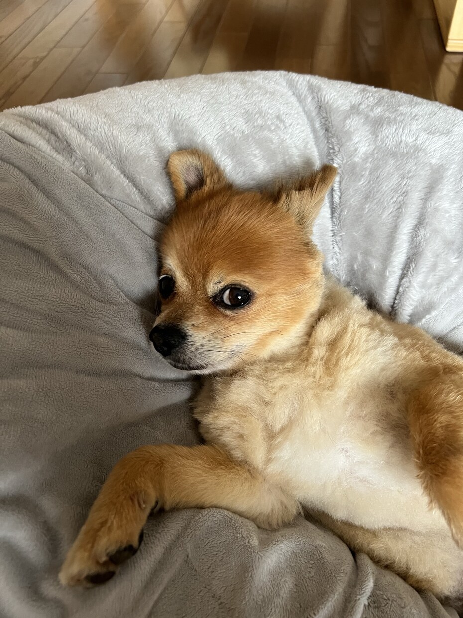 秘密厳守でどんな内容の話も寄り添います 悩みががあるときは通話で安心しませんか？⭐️ イメージ1
