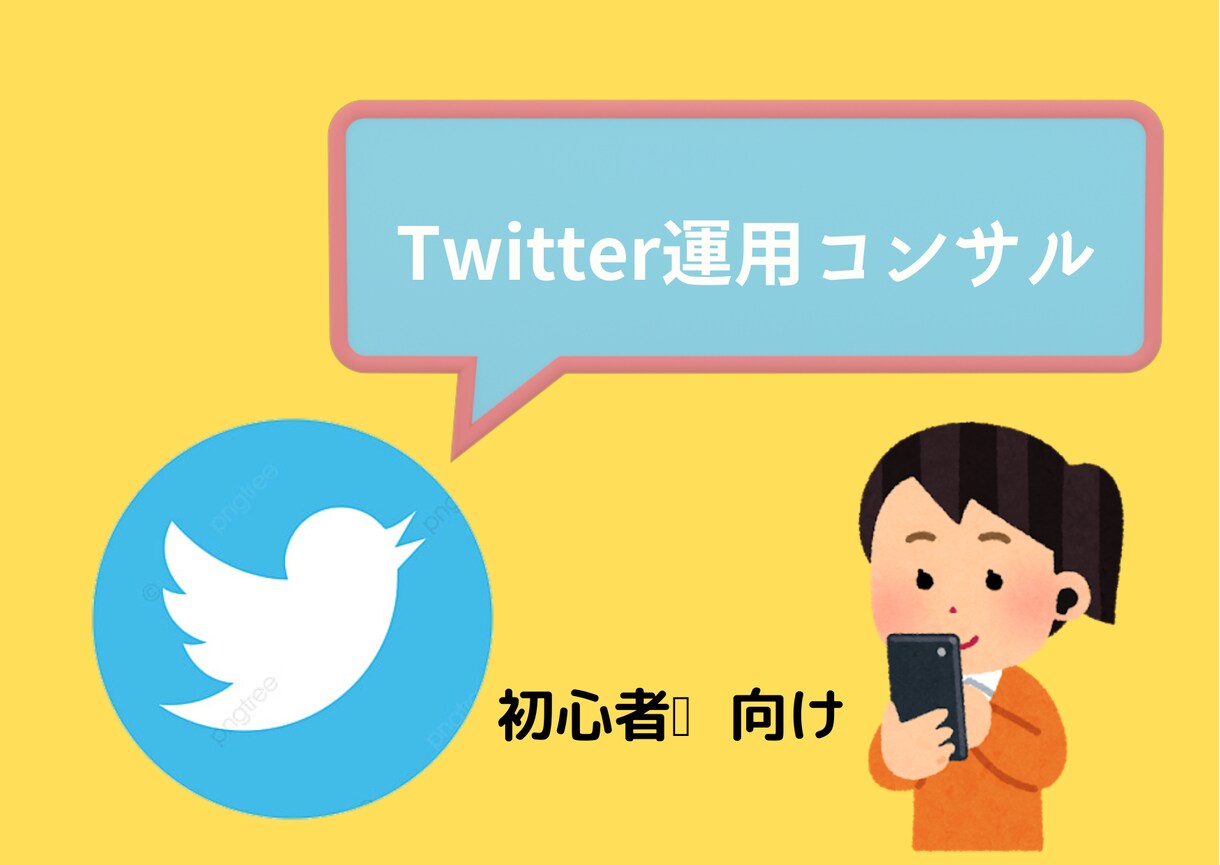 Twitter初期運用を教えます Twitterから発信してみたい方のブランディングから指導 イメージ1