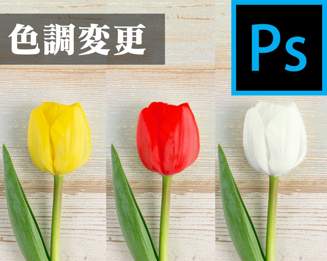 修正無料！写真のレタッチ・切り抜き対応いたします あらゆる写真のレタッチ切り抜きはお任せください！ イメージ3