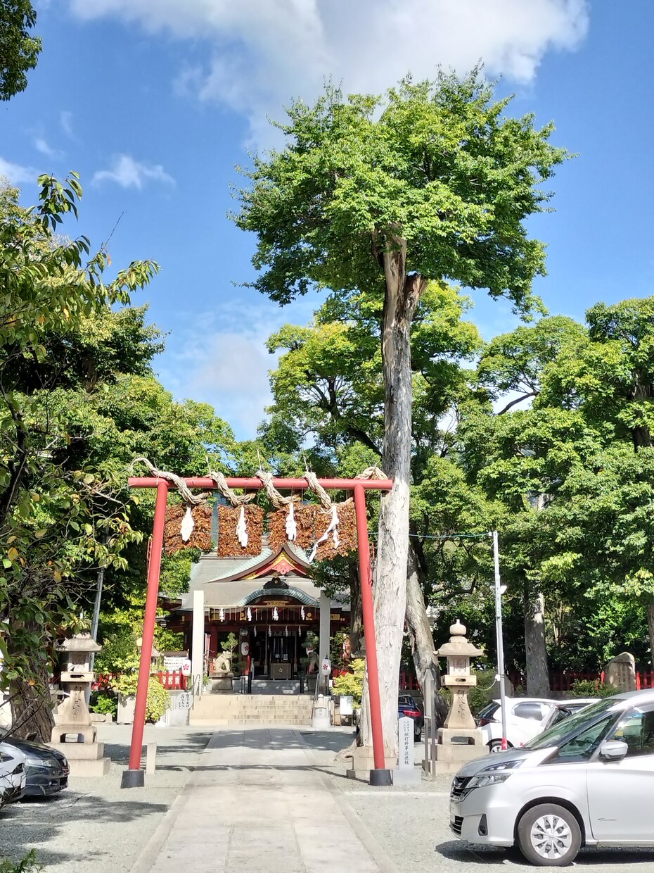 光と愛の将棋道 — 3日間自由セッションしています あなたの現局面から光と愛のカウンセリングしていきます イメージ5