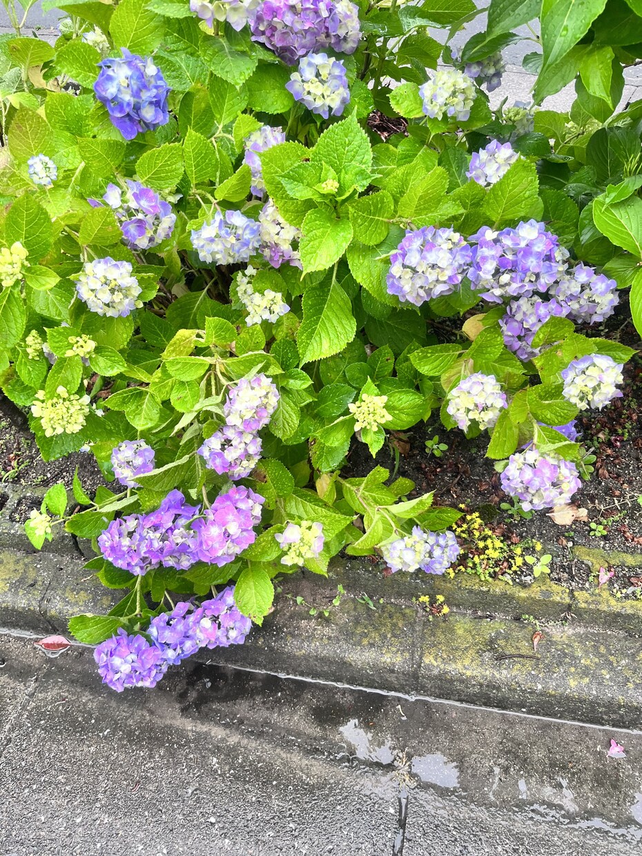 気になる相手のお気持ちをお教えします お相手様のお気持ち知りたい方へ イメージ1
