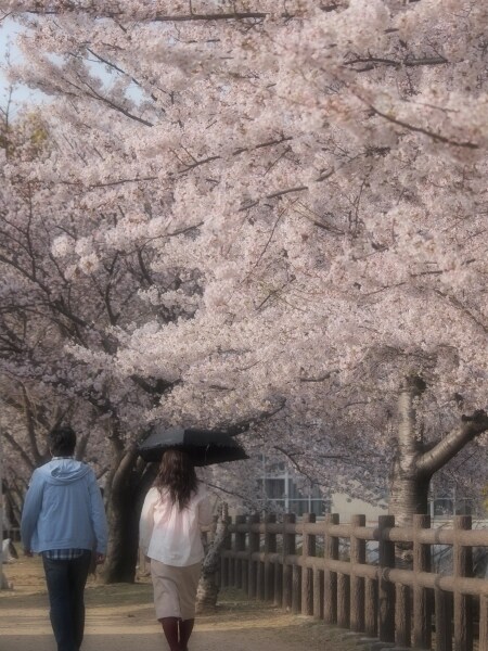 こんな写真が撮りたかった！を伝えます 「自分が撮りたいと思う写真」の撮り方、お話します！ イメージ2