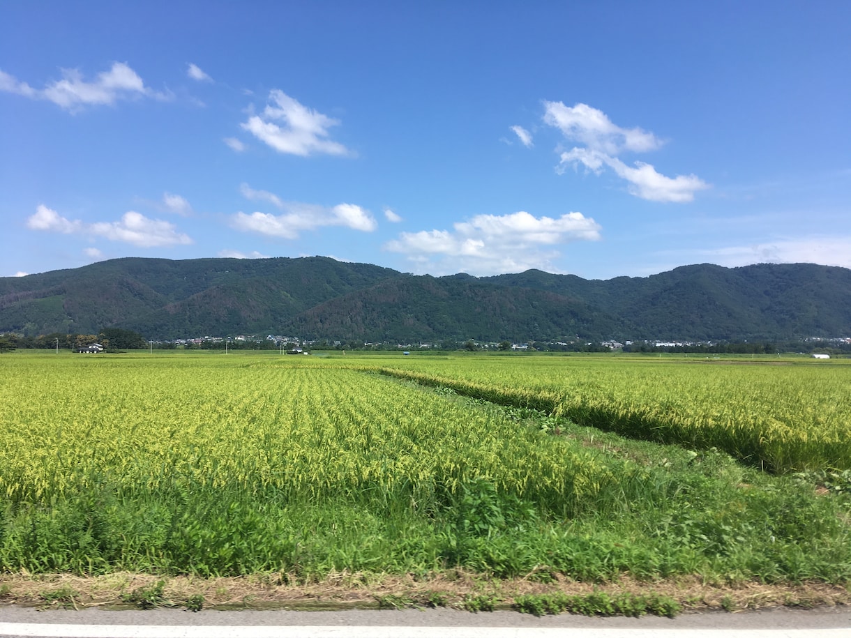 私になんでもお話ししてください。お話し聞きます どんな内容でもお話し聞きます。 イメージ1