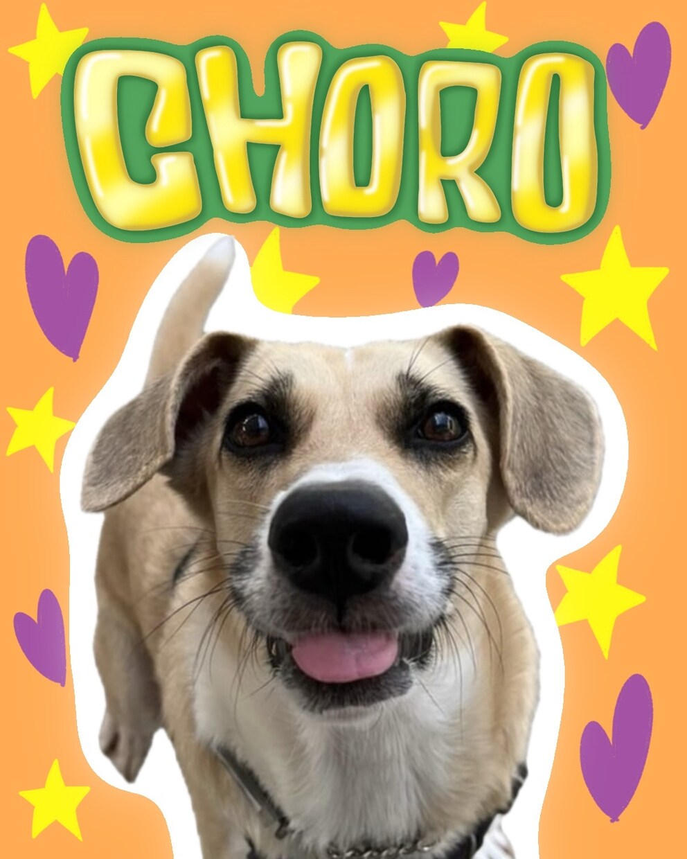 かわいいペットやお子様の画像をもっとかわいくします ペット様や人間様の画像を切り抜いて手描きデコイラスト作ります イメージ6