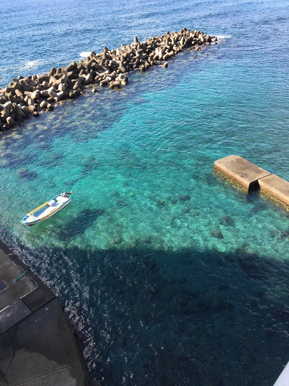 静岡県伊豆半島への旅行なら私がプランを提案します 東京から伊豆半島に通うこと20年以上、伊豆半島大好き人間です イメージ9