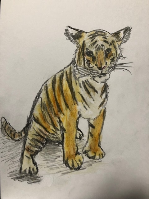 油彩画、水彩画、挿絵など依頼があれば何でも描きます 植物、動物、風景などが得意です。 イメージ6