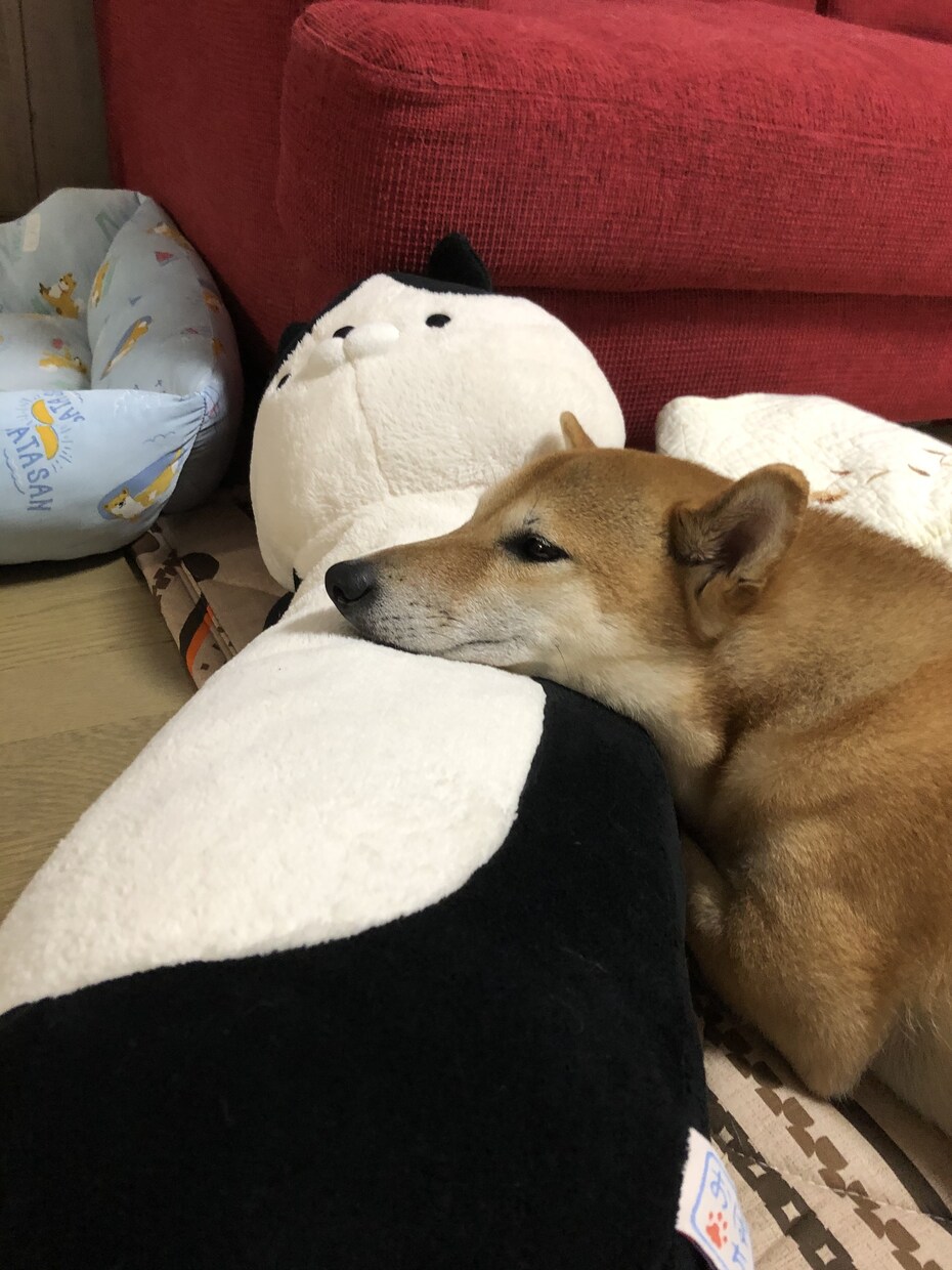 行き場のない気持ちを承ります 溜め込んでるものがあれば、話してみませんか？ イメージ2