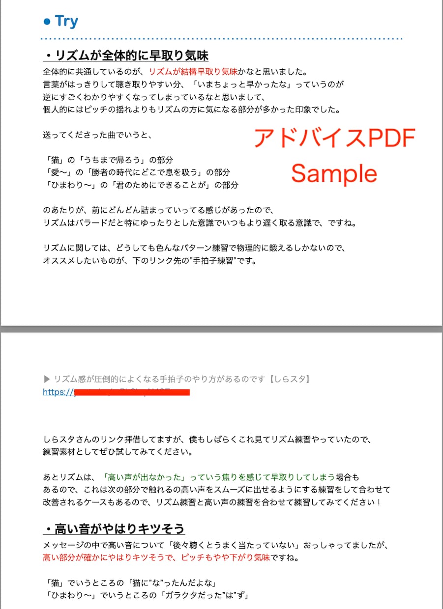 あなたの歌を聴いて、ボーカルの分析をします カラオケ・ライブで惹きつける、聴き惚れる歌を目指しましょう！ イメージ2