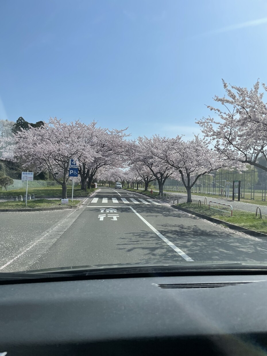 あなたのお話をただただ聞きますます 喋りたいことをばーっと喋ってください。うんうん聞きます！ イメージ1