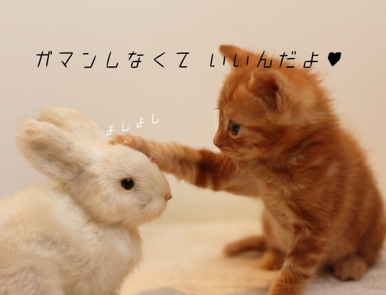 誰にも言えない悩み聞きます あなたが日頃我慢している悩み事、私に全て吐き出して下さい♪ イメージ1
