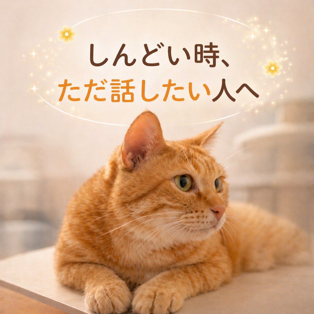 話すだけで少し楽に。あなたのお話お聞きします ただ誰かに聞いてほしい愚痴や悩みなどお気軽にどうぞ イメージ1
