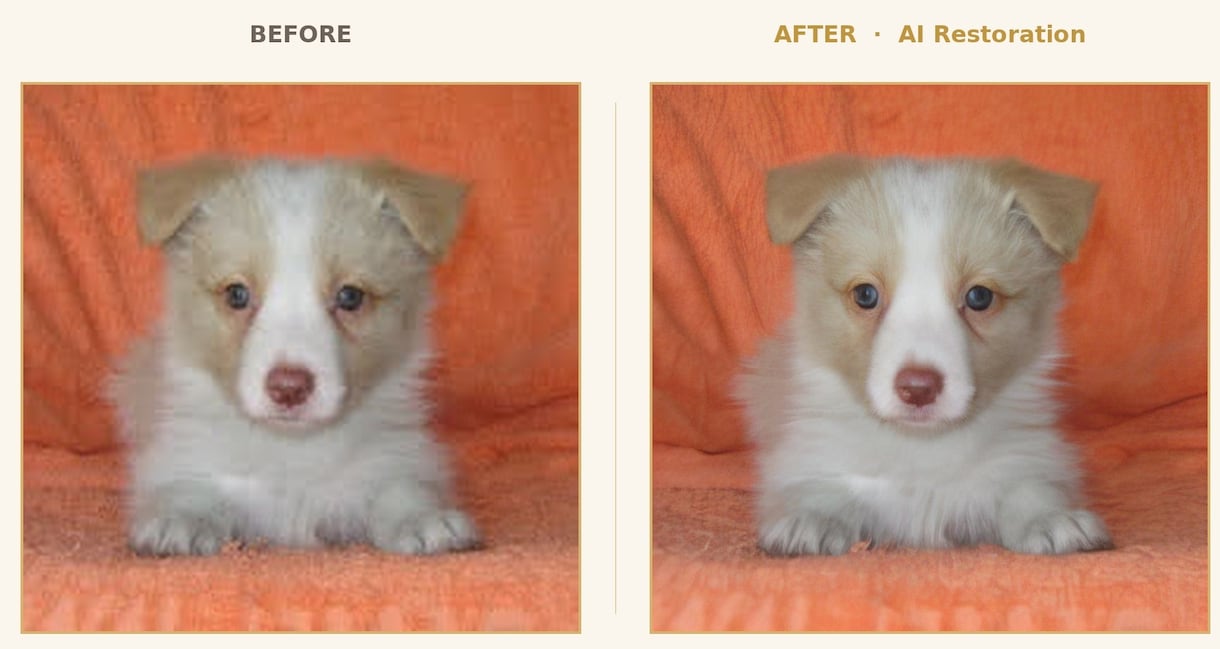愛犬写真、プロの手仕事で美しく修復、レタッチします イラストではなく本物の写真のまま残したい方へ イメージ2