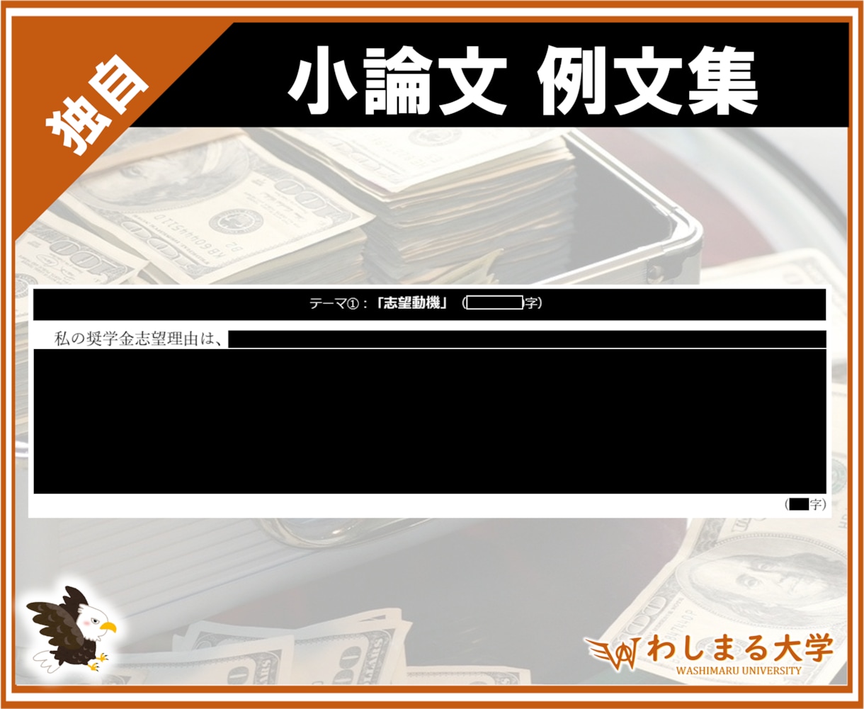 似鳥奨学金の小論文・WEBテスト・面接を解説します 【2025-2026】例文集やウェブテスト/面接情報を提供！ イメージ5
