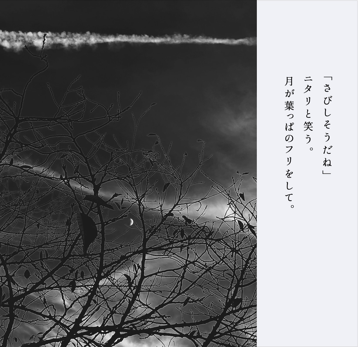 出版経験ありの現役詩人があなたの写真に詩を書きます あなたの写真の魅力を現役の詩人が詩で引き出します イメージ4