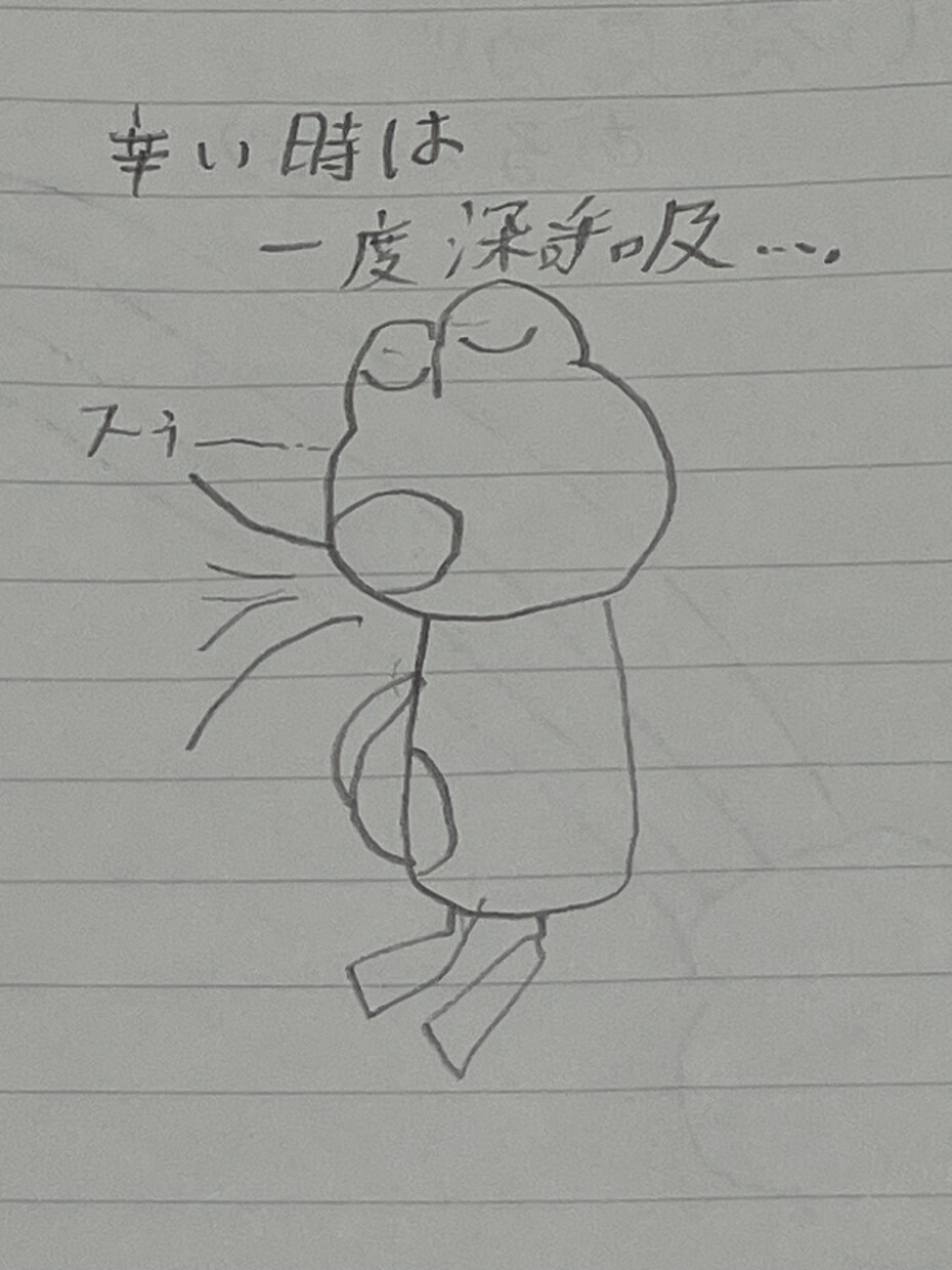ヤギとウサギとカエルで気持ちを描きます 鉛筆でヤギとウサギとカエルで昨日思ったことを綴ります。 イメージ3