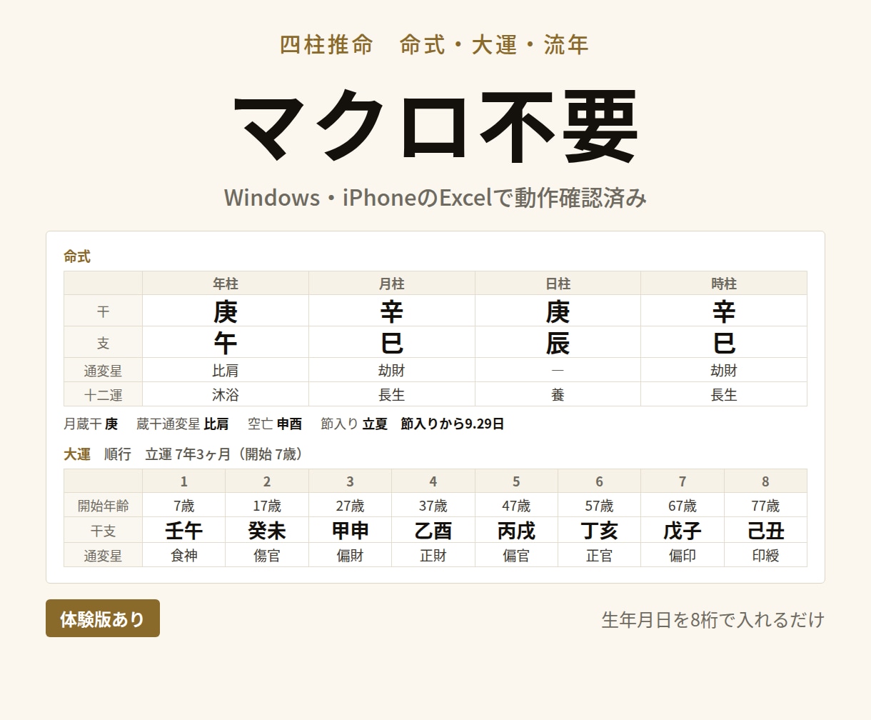 四柱推命の命式・大運・鑑定書をExcelで作ります 体験版が無料。ご自身の命式で確かめてから購入できます イメージ1