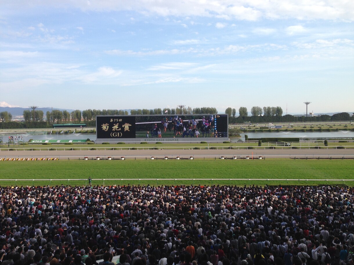 一口馬主での各馬の実際の回収率をお教えします 一口馬主歴6年で、約50頭に出資した情報を公開します。 イメージ1