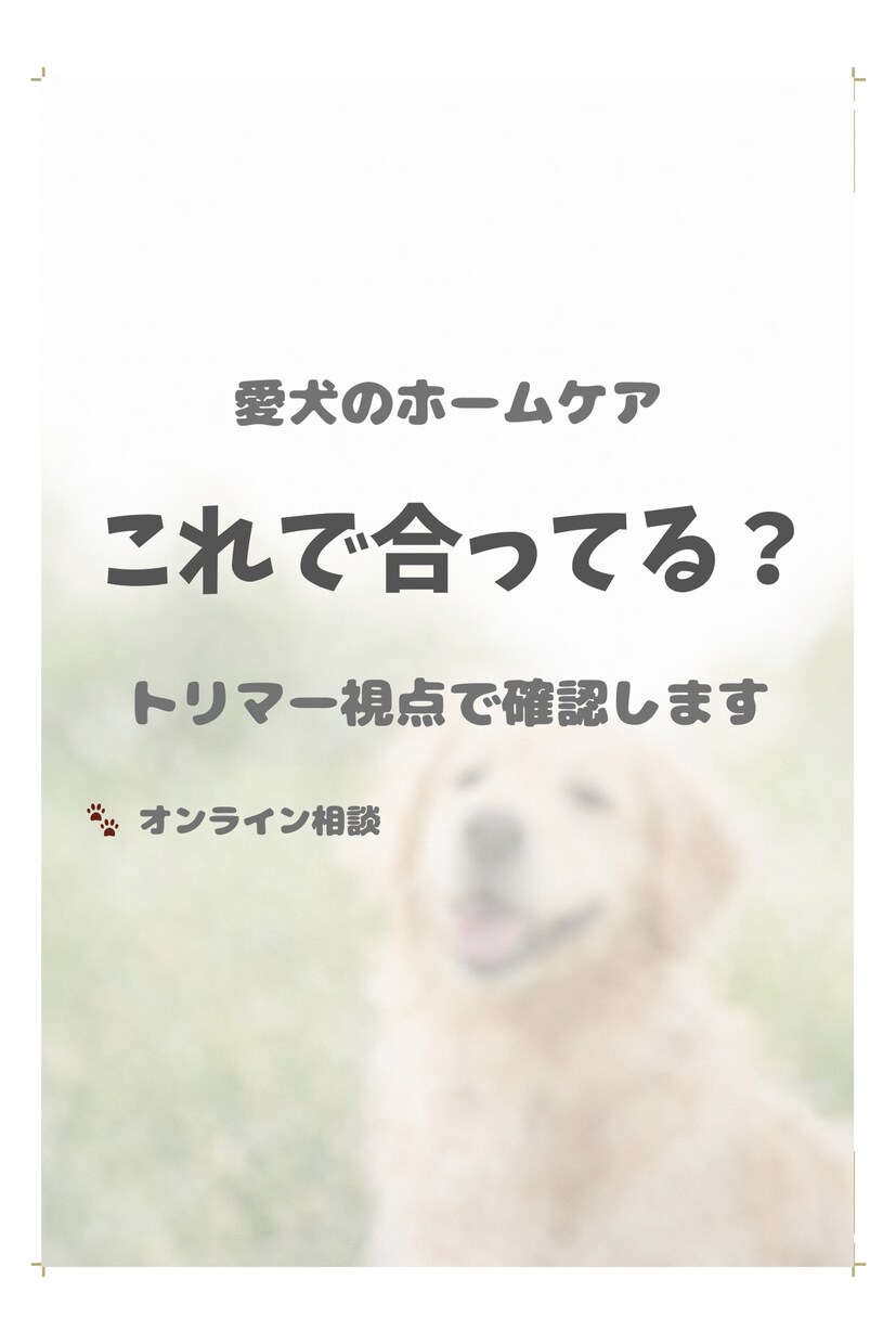 やりすぎ？足りない？犬のケアを整理します トリマーの視点で、今の状態を整理します イメージ1
