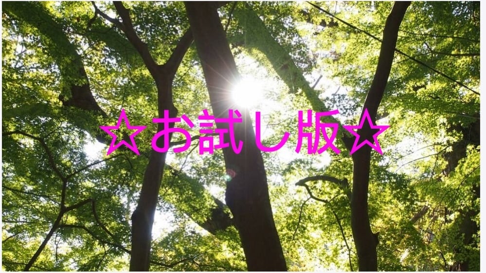 お試し版☆体内リーディングします 貴方の性格の良いところや臓器に溜まった感情をお伝えします♡ イメージ1