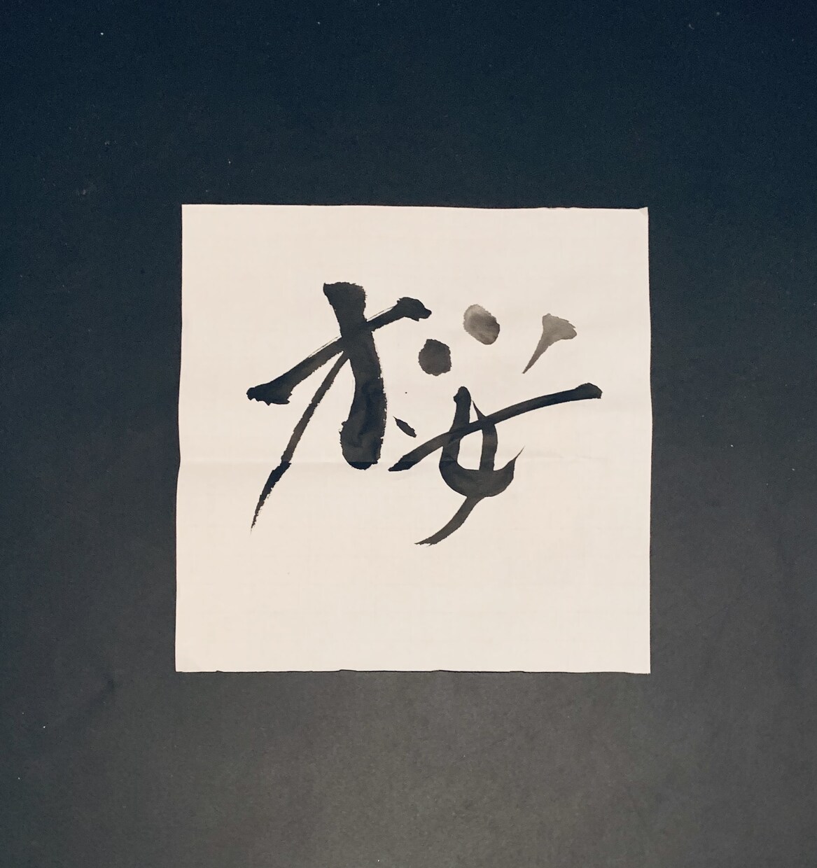 ご祝儀や様々な場面での綺麗な字(書道)代筆をします 明治神宮での書道展に小2から高3まで出展し、受賞しています。 イメージ2