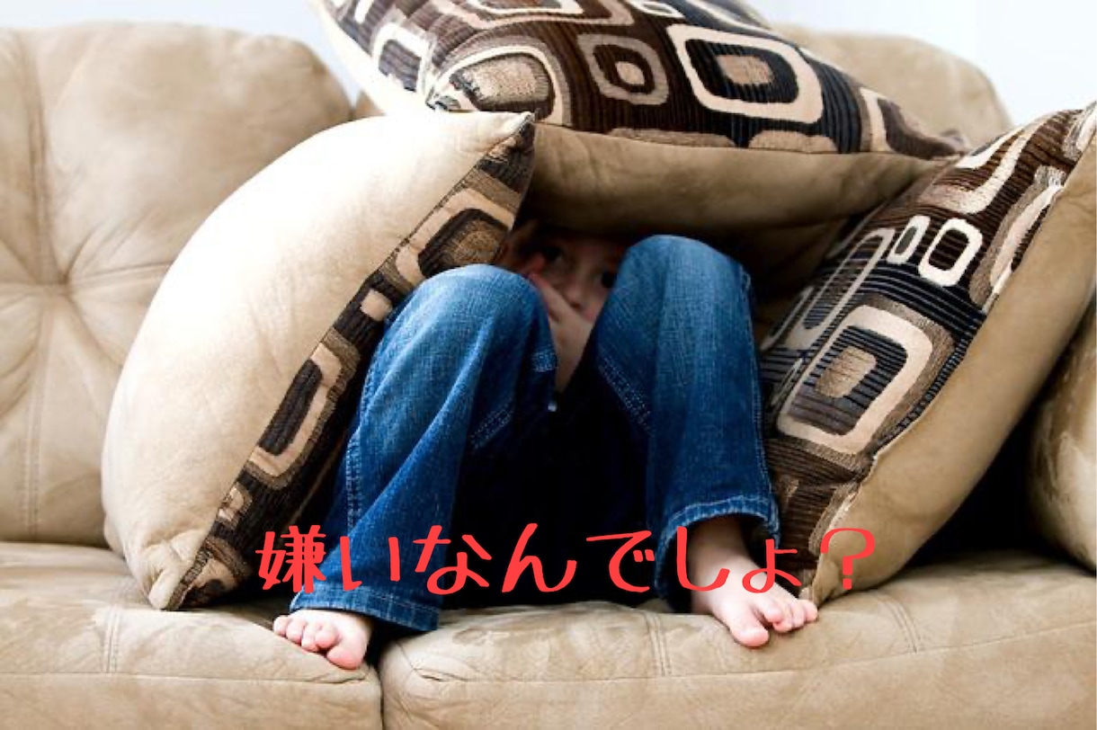 子育てのベテランが、あなたの心の痛み、受け止めます 。本当は子供が苦手...誰もが優しい母親になれると思ってた！ イメージ6