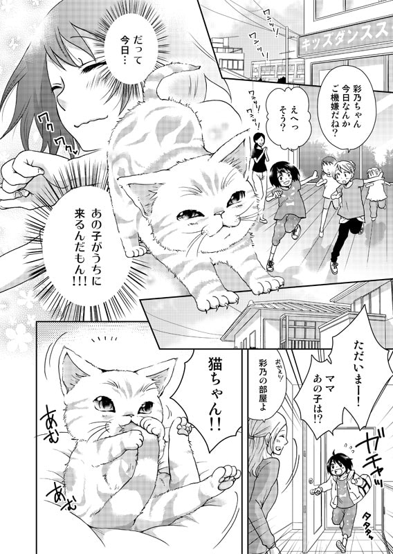 猫との思い出を漫画にします 猫との出逢いや別れ、日々の想い出を形にして残したい方へ イメージ3