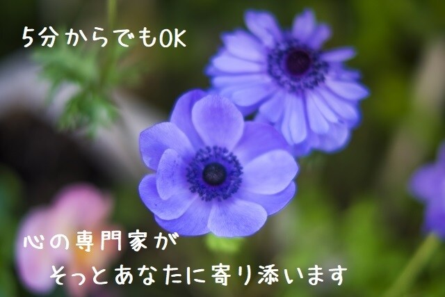 今すぐ誰かと話したい時、あなたに寄り添います 1分からOK：どんな悩みも心の専門家がじっくりと聞きます イメージ1