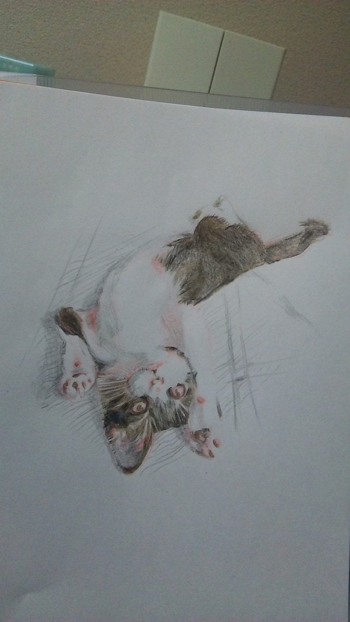 大好きなペットなどの似顔絵描きます お部屋に写真とは違ったアートをとりいれたいかた イメージ2
