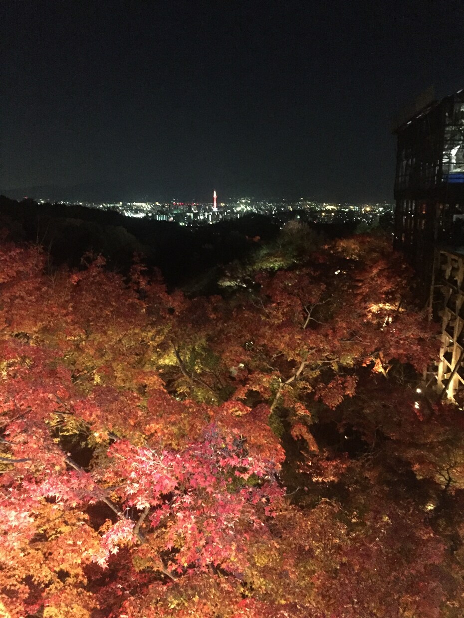 京都案内いたします 〜英中韓など外国語でも可能です！ イメージ4