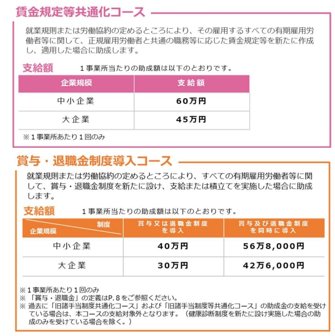 キャリアアップ助成金の計画書作成方法を教えます 専門家への依頼費にお困りの方に誰でもできる簡単作成・申請方法 イメージ7