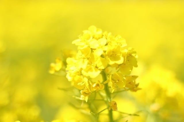 お仕事をはじめとする日々のお悩み伺います ホッとする居場所になりたい(*^^*) イメージ5