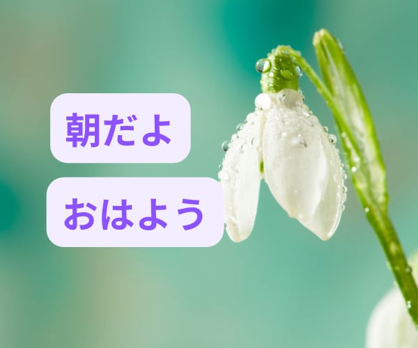 軽くしましょう。心の声聞きます それは本当あなたのやりたい事？周りに振り回されていませんか？ イメージ2