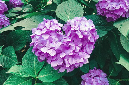 現役ナースが5分でも、なんでもお話聞きます 誰かに話を聞いて欲しい、5分でいいから話したいという時 イメージ6