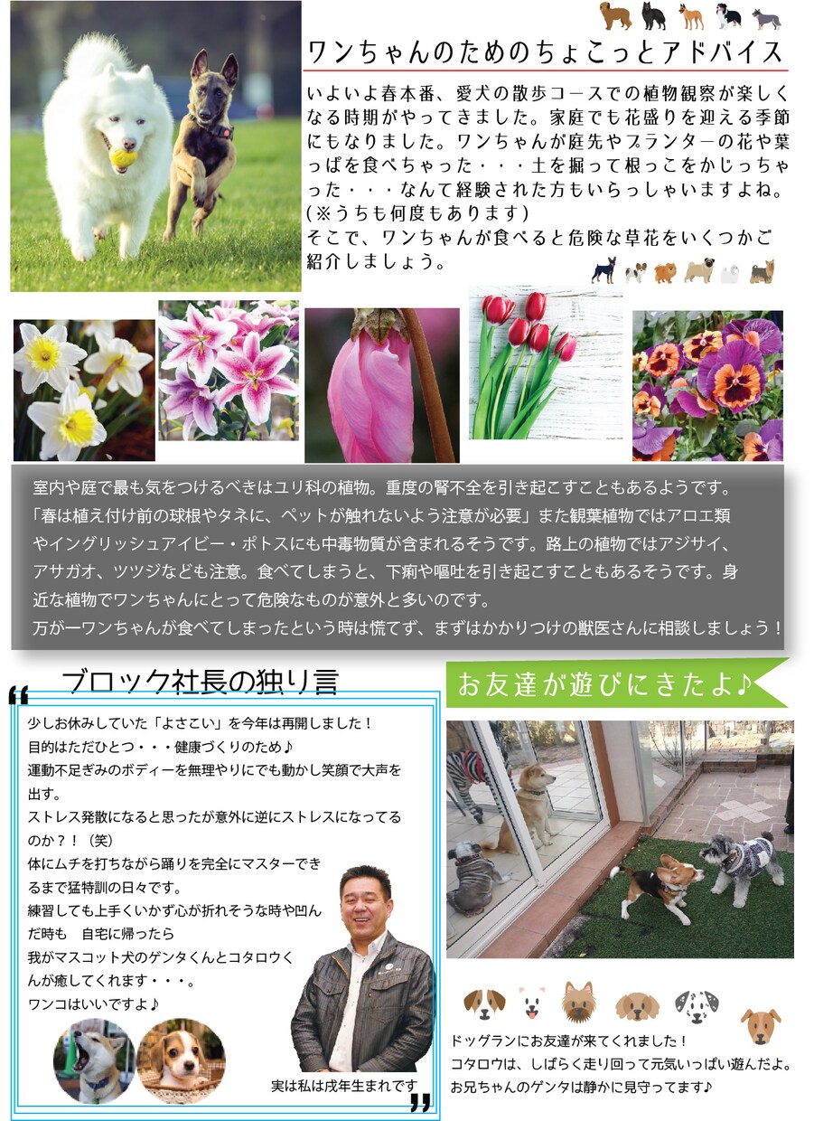 高品位なチラシなどの印刷物全般デザインいたします デザイン経験豊富なデザイナーが格安価格でご提供します。 イメージ6
